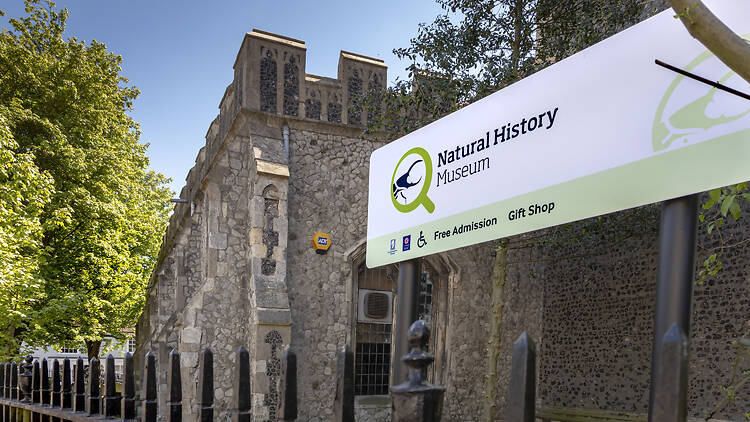 Exterior of Colchester natural history museum with signage