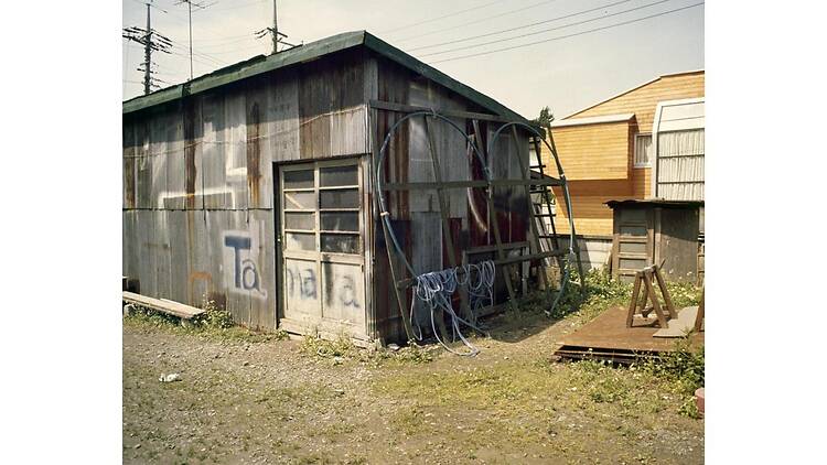 田中信太郎 ―意味から遠く離れて