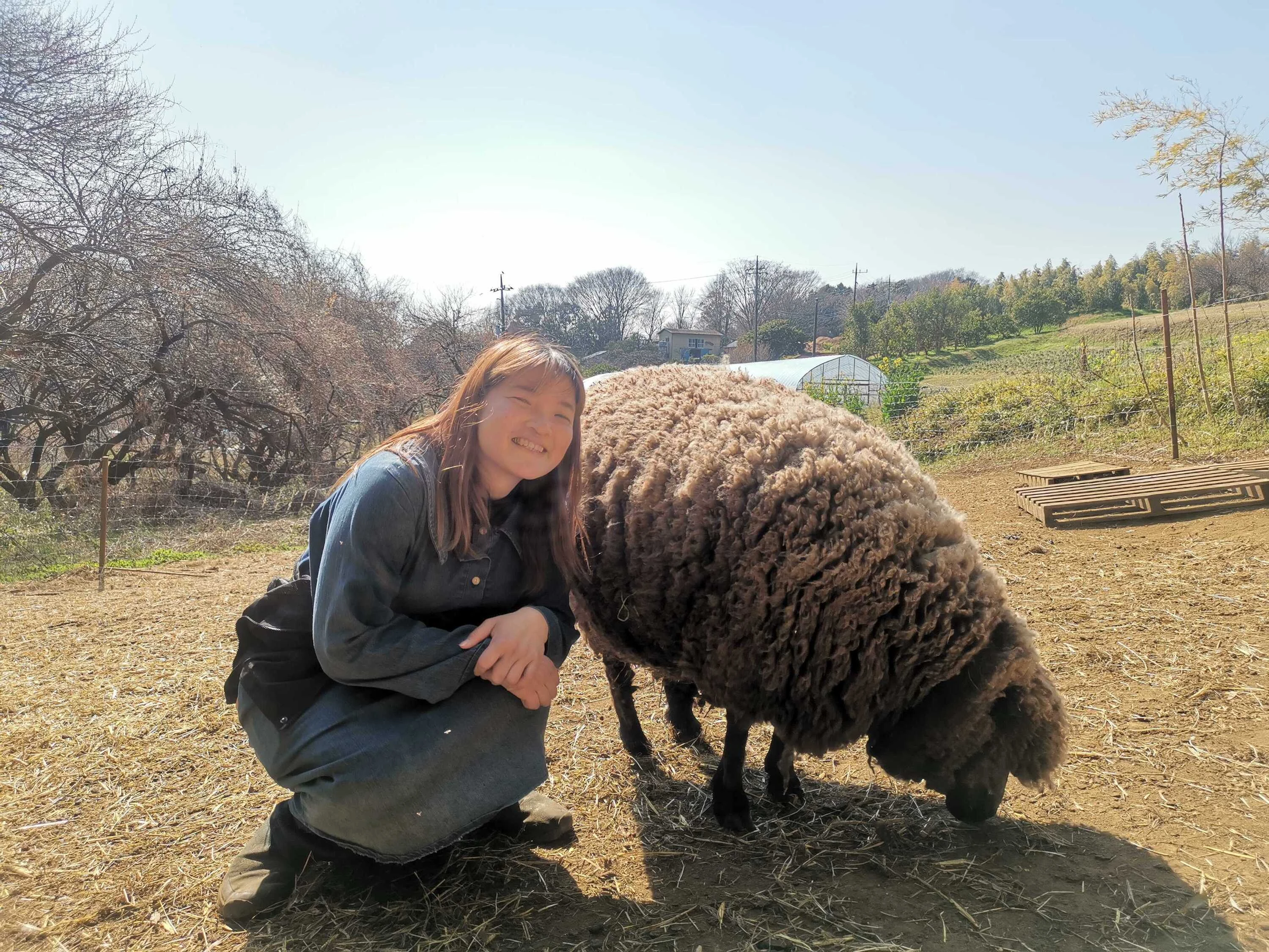 Nana with sheep