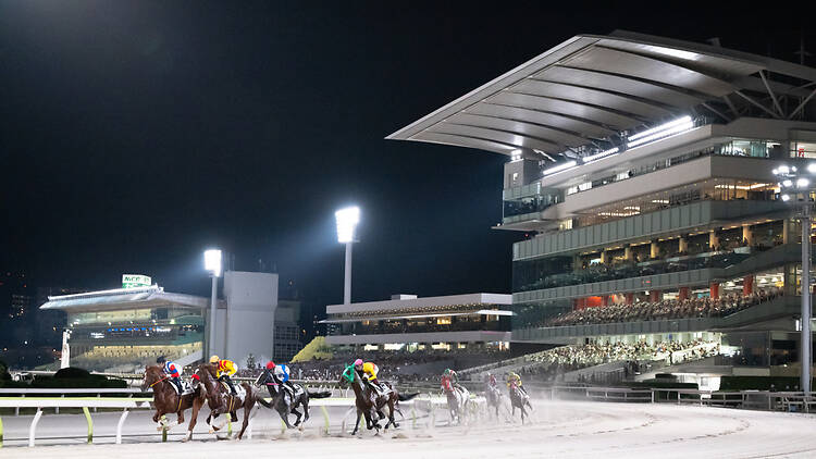 夢と光に輝く競馬場で手に汗握る。