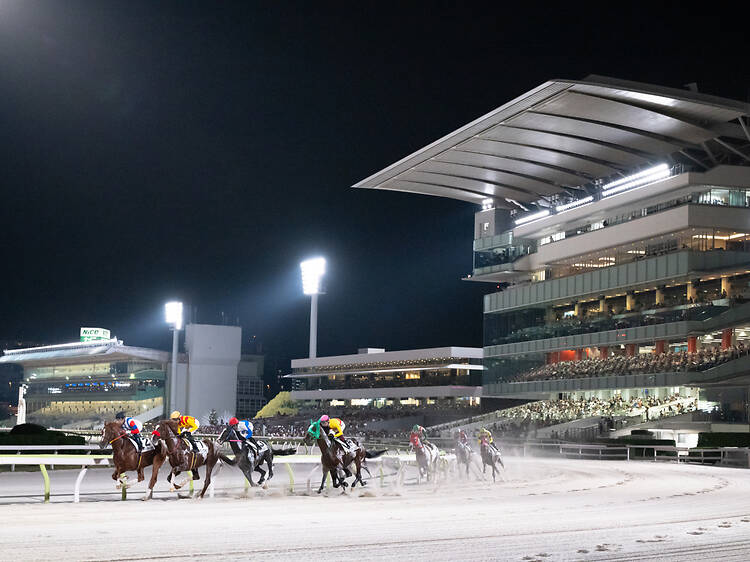 夢と光に輝く競馬場で手に汗握る。