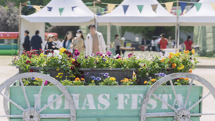 Lohas Festa 2026 Spring