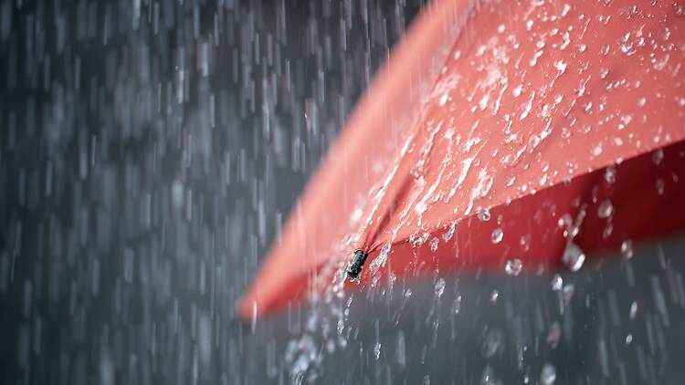 Power outages and op to 100 mm of rain threatens flooding across Montreal area