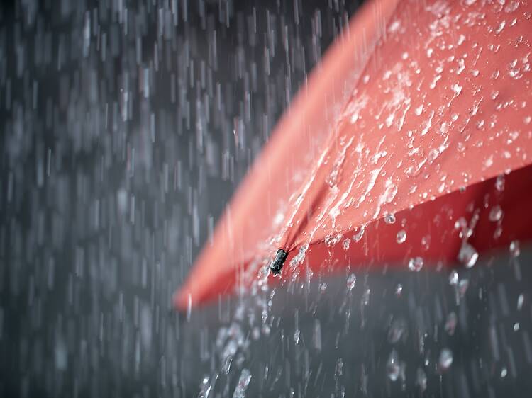 Up to 100 mm of rain threatens flooding across Montreal area this weekend