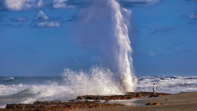 Salt spray at Blowing Rocks Natural Preserve