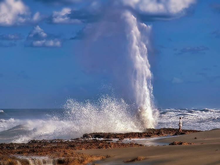 Salt spray at Blowing Rocks Natural Preserve