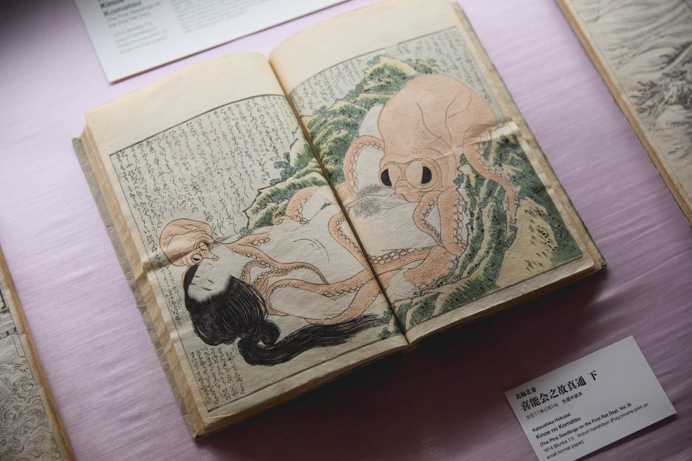 紙本　掛軸　鉄堂　美人海女図　春画 春画の名作『蛸と海女』が歌舞伎町に登場、北斎と英泉の官能美に浸る