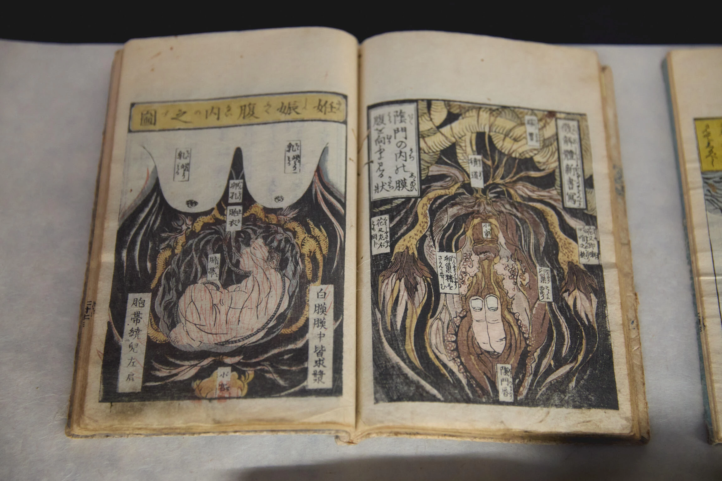 北斎・英泉 艶くらべ ―歌舞伎町花盛り―