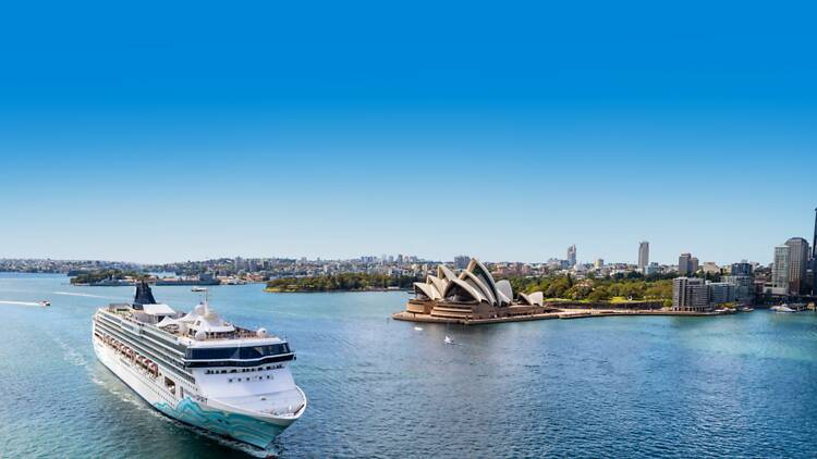 Curated for adults, crafted for calm