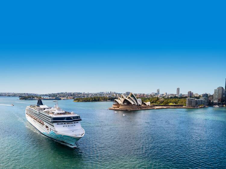 Curated for adults, crafted for calm