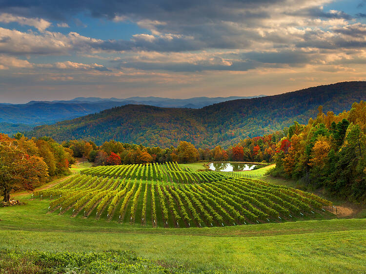Crest of the Blue Ridge Crest of the Blue Ridge