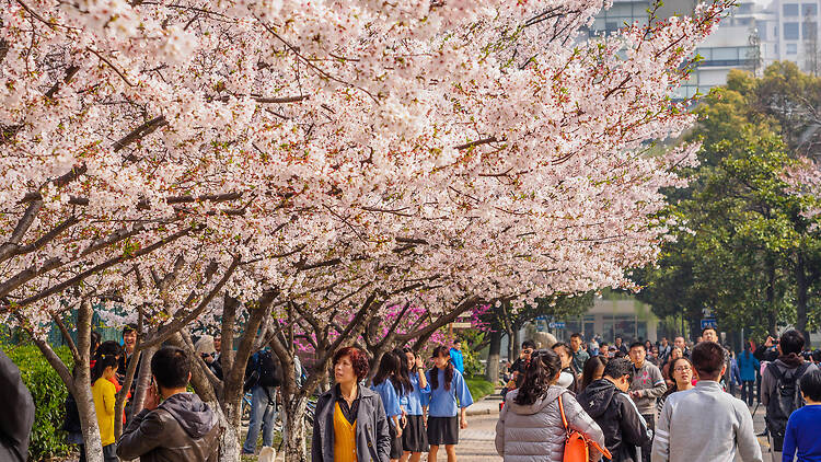Shanghai, China Shanghai, China