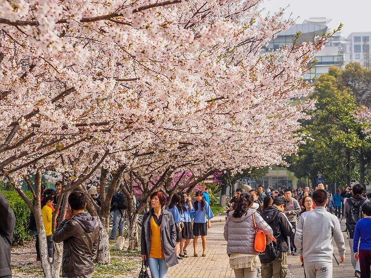 Shanghai, China Shanghai, China