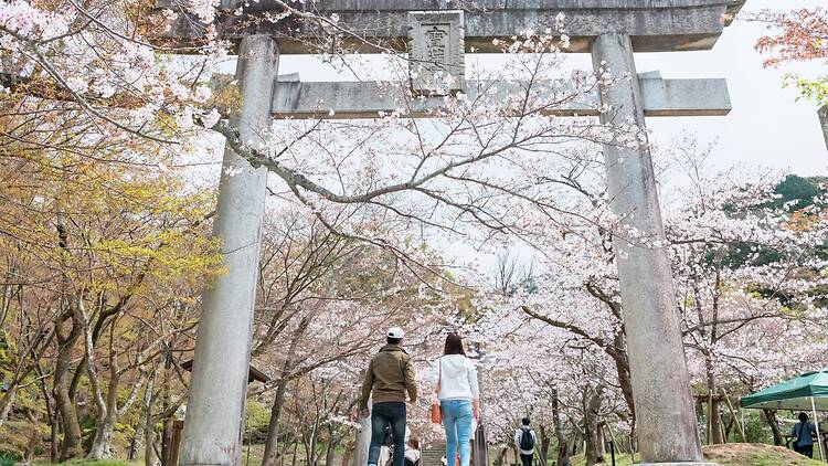 Fukuoka, Japan Fukuoka, Japan