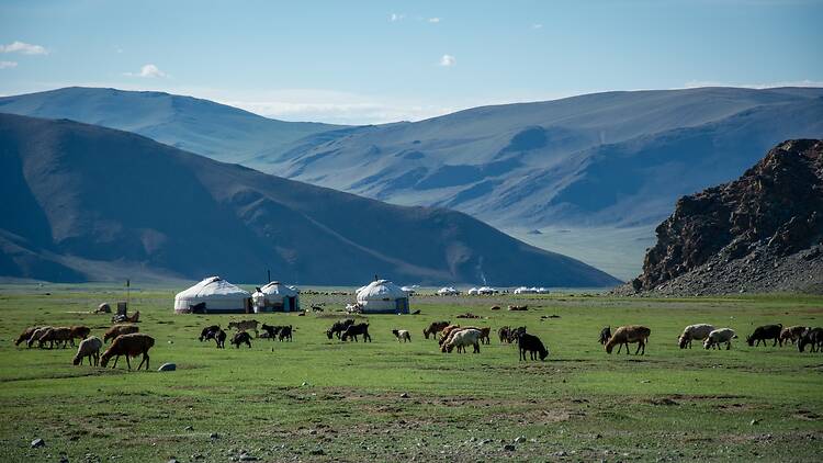 Mongolia Mongolia