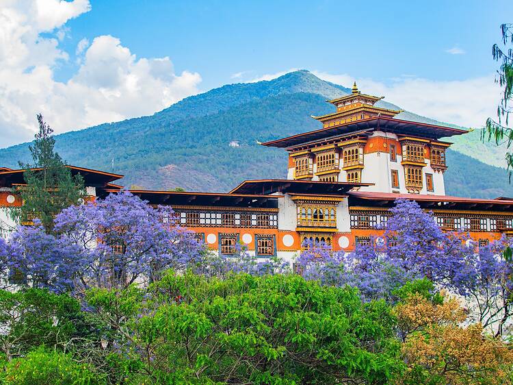 Bhutan, spring Beautiful Punakha Dzong during Spring