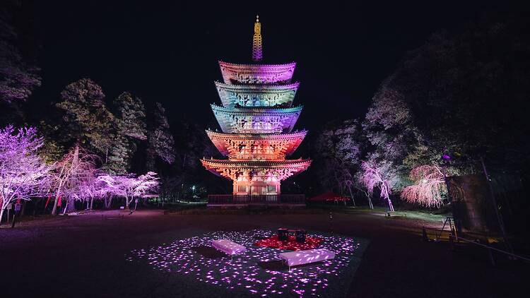 Naked meets World Heritage Daigoji: Daigo Hanami