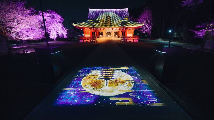 Naked meets World Heritage Daigoji: Daigo Hanami