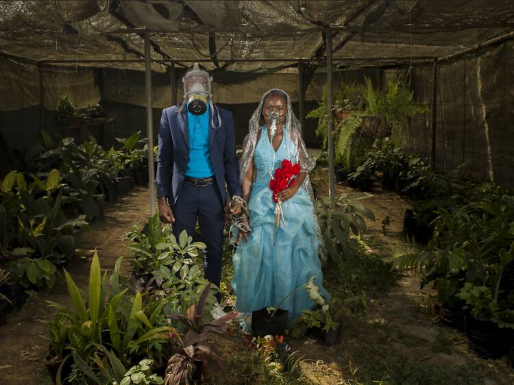 O nosso querido mês de Abril, na Nova