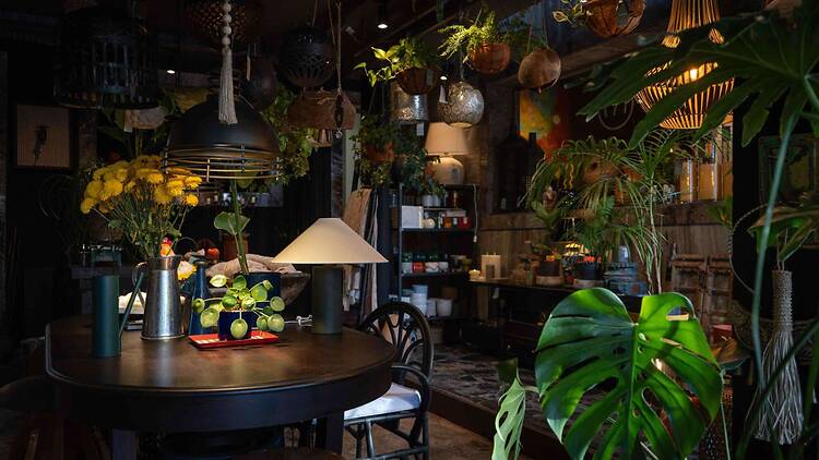 Ramona Plantas y Objetos: where design meets nature