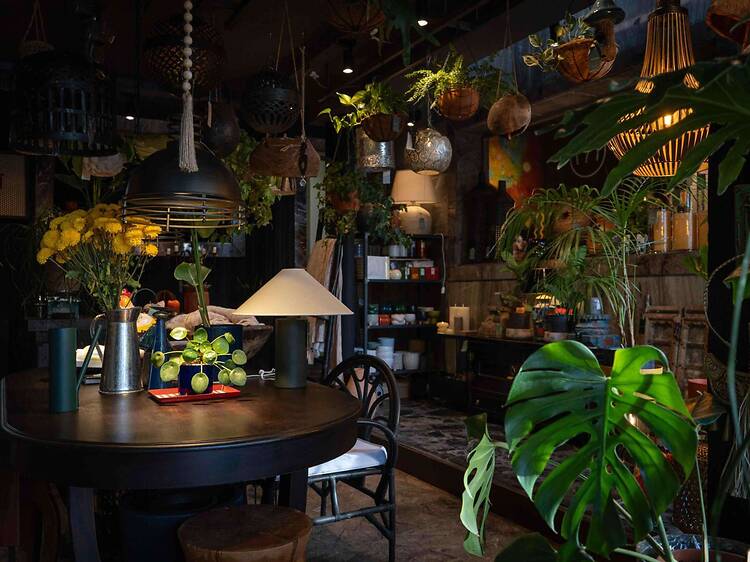 Ramona Plantas y Objetos: where design meets nature