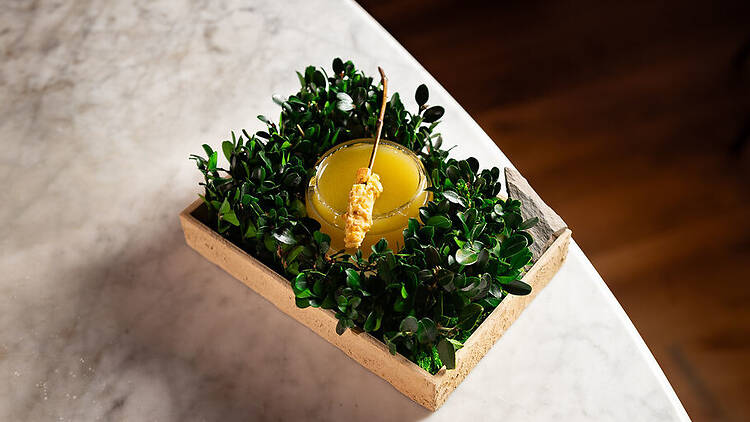 Paradiso at MAD Bar & Lounge Paradiso at MAD Bar & Lounge