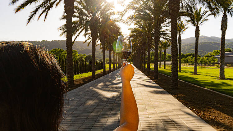 Suisun Valley | California Suisun Valley | California