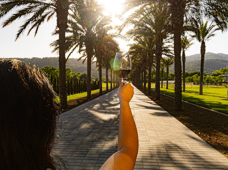 Suisun Valley | California Suisun Valley | California