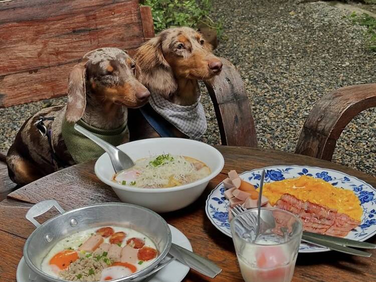 7 places to eat breakfast like a local in Chiang Mai