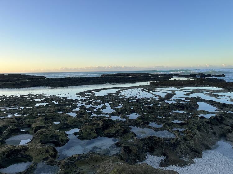 Hotel Review: De Hoop Villa