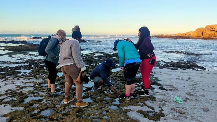 Rockpool excursion at De Hoop.