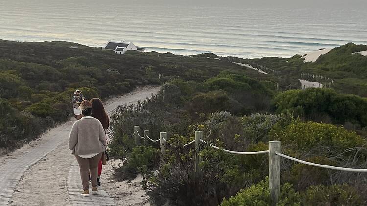 On the path down to Koppie Alleen in De Hoop.
