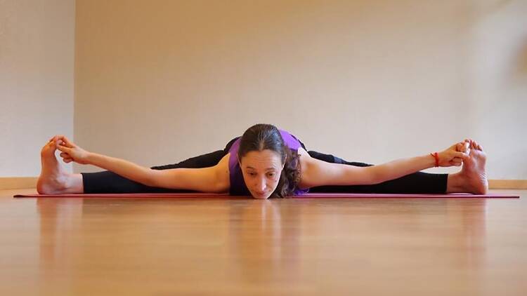 Yoga Mandir