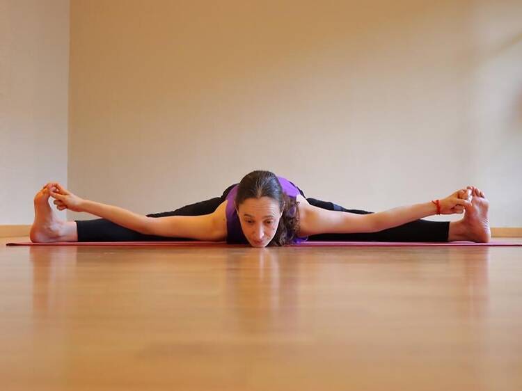 Yoga Mandir