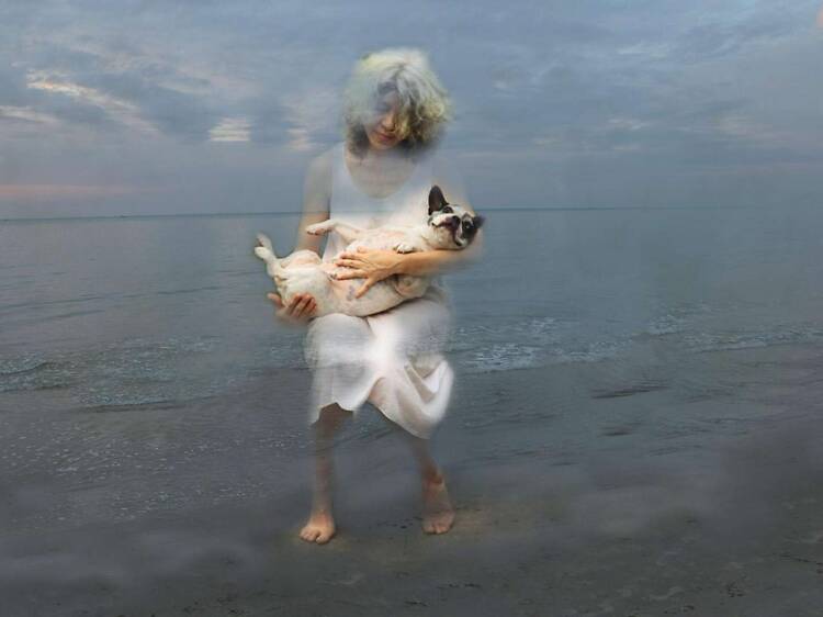 A four-decade deep dive at MAIIAM with Araya Rasdjarmrearnsook