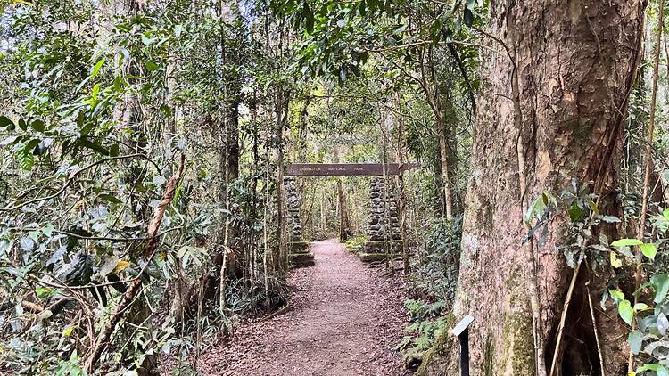 Hike the Caves Track in Lamington National Park