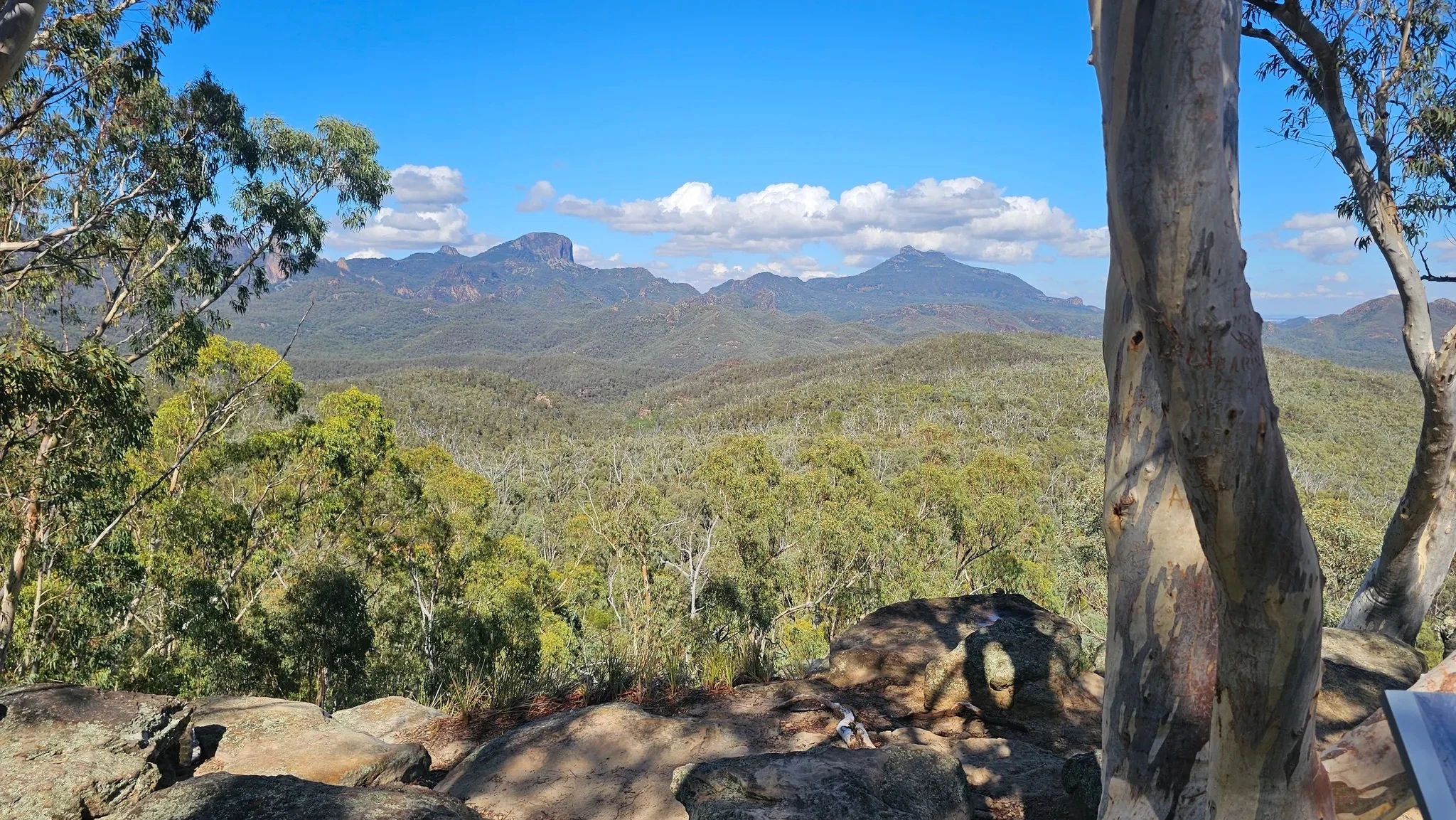 Whitegum Lookout
