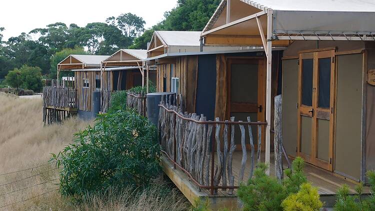 Slumber Safari at Werribee Open Range Zoo