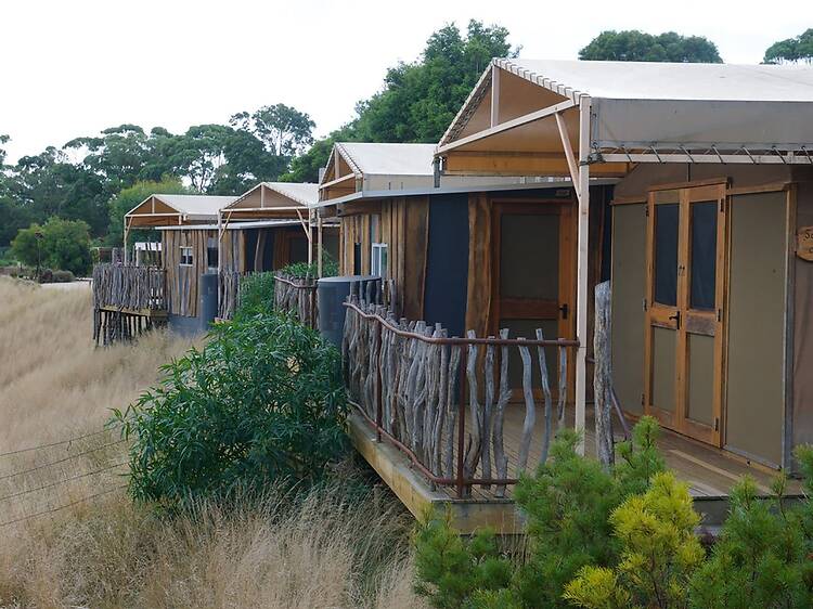 Slumber Safari at Werribee Open Range Zoo