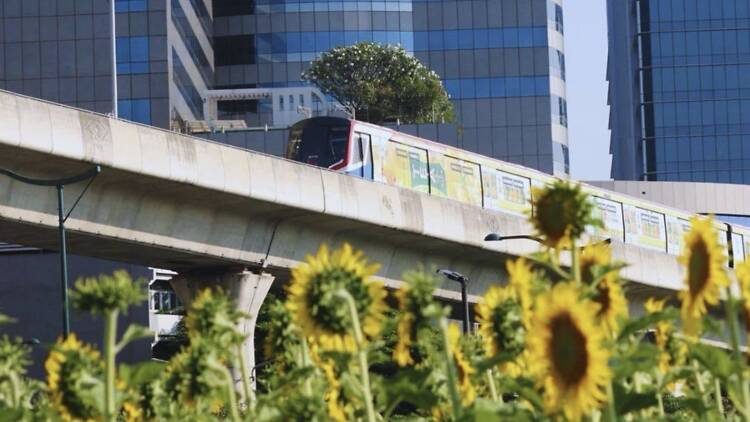 Greener Bangkok