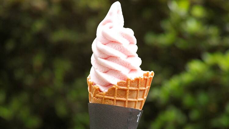 Jindai Botanical Garden Rose Festival