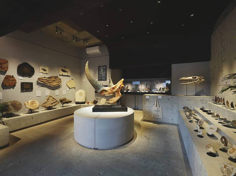買える化石博物館 TOKYO