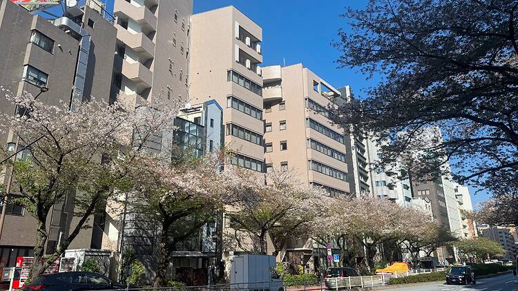 Meiji-dori street in Hiroo, Shibuya