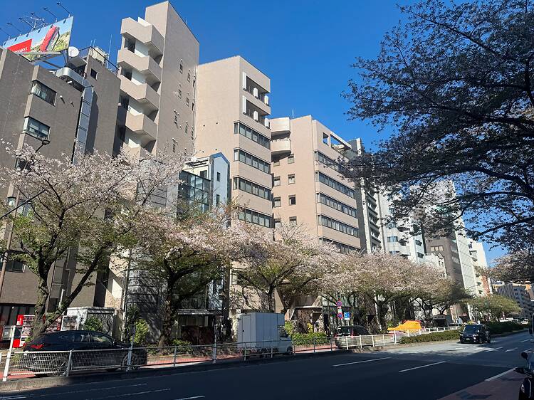 Meiji-dori street in Hiroo, Shibuya