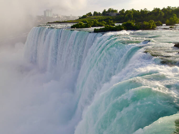 Mês da Terra no Odisseia