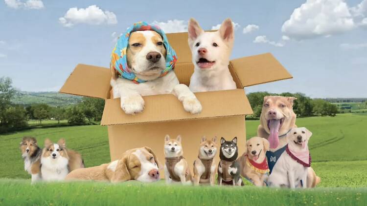 Bunticha P. - TimeOut Thailand