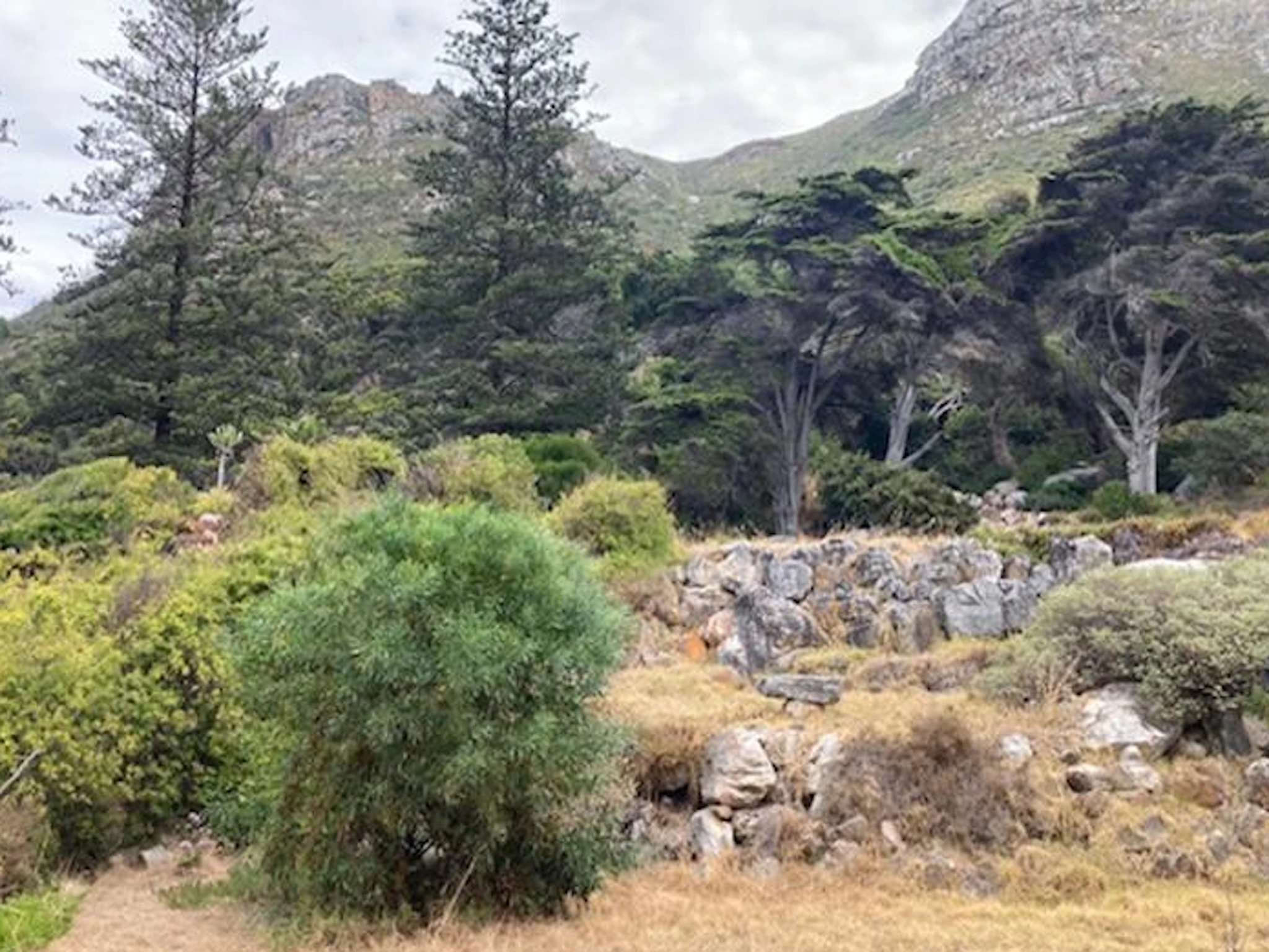 Battle of Muizenberg historic site