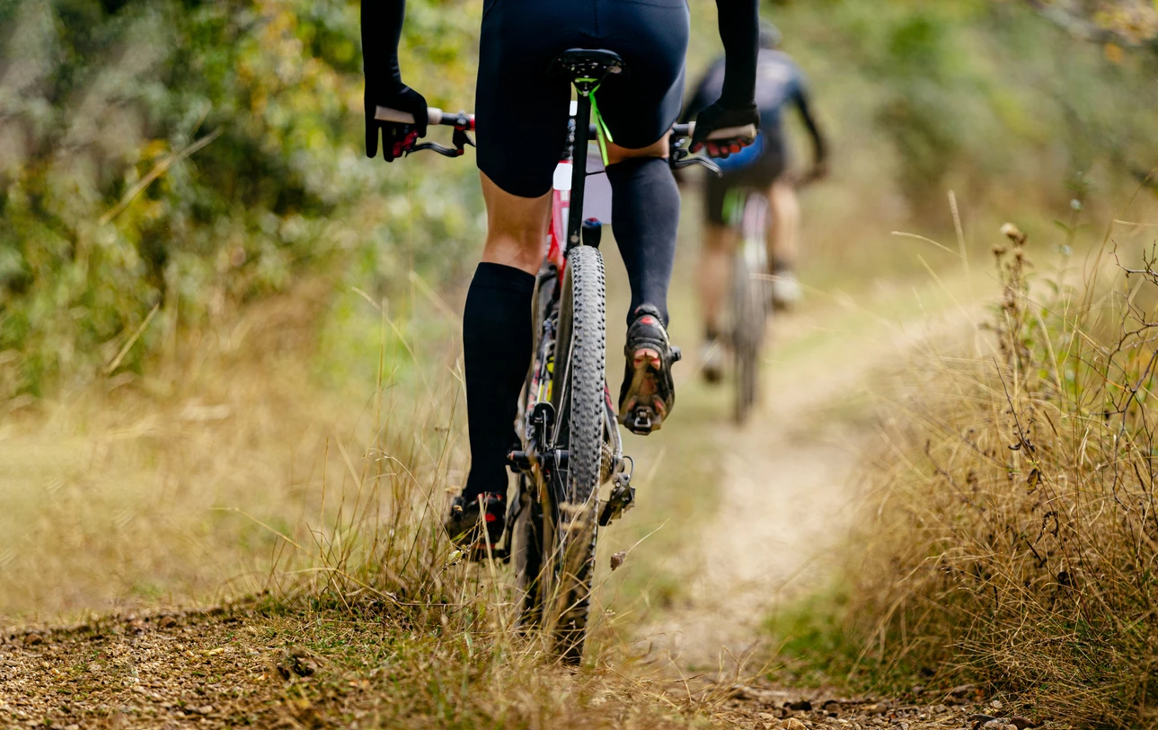 Mountain bike 