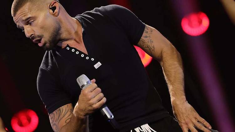 Ricky Martin (17 y 18 de abril, Campo Argentino de Polo)