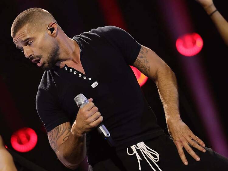 Ricky Martin (17 y 18 de abril, Campo Argentino de Polo)